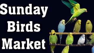 Sunday Birds Market | Lalukhet Birds Market Latest Video| Ks birds update