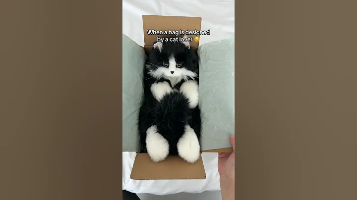 Realistic Cat Plush 🐱 | Handmade Companion Pet Gift Idea!