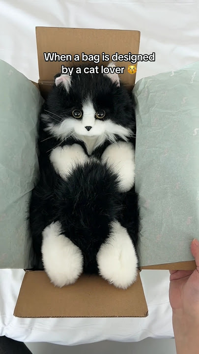 Realistic Cat Plush 🐱 | Handmade Companion Pet Gift Idea!