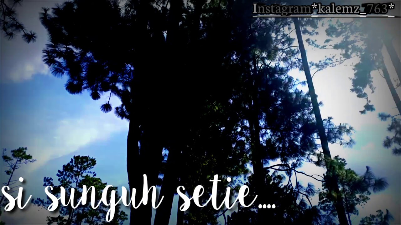 Story'wa terbaru 2020_lagu gayo - YouTube