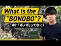 【Eng sub】ボノボってなに？はじめまして。霊長類研究をしています！