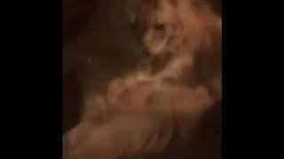 Ruby da cherry Meows at cat Wealth