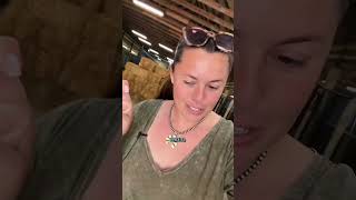 It’s breeding season! #Horses #animals #livestock