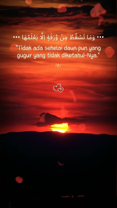 story islami wa 30 detik | sw kehidupan | sw terbaru