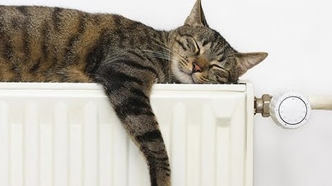When Should You Bleed Your Radiators: Boiler Jargon Buster.