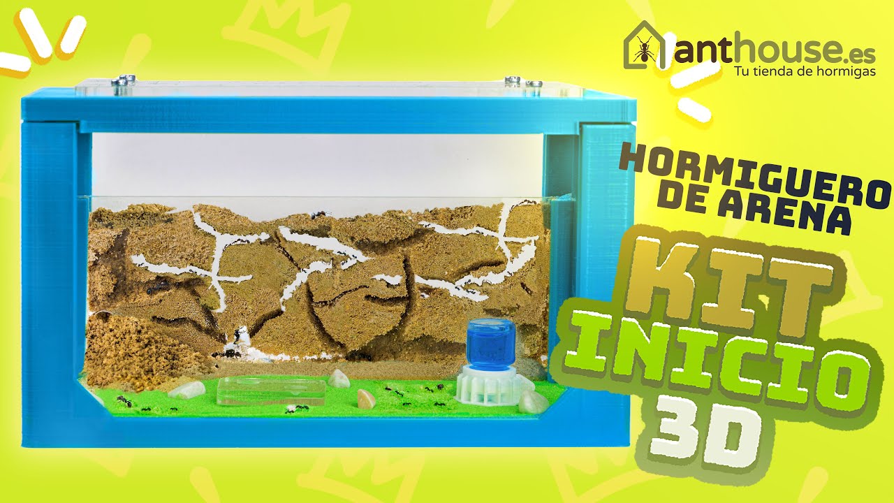 AntHouse Hormiguero De Gel Azul Con Luz Y Semillas – Hormigas Incluidas Gratis, Ecosistema Educativo