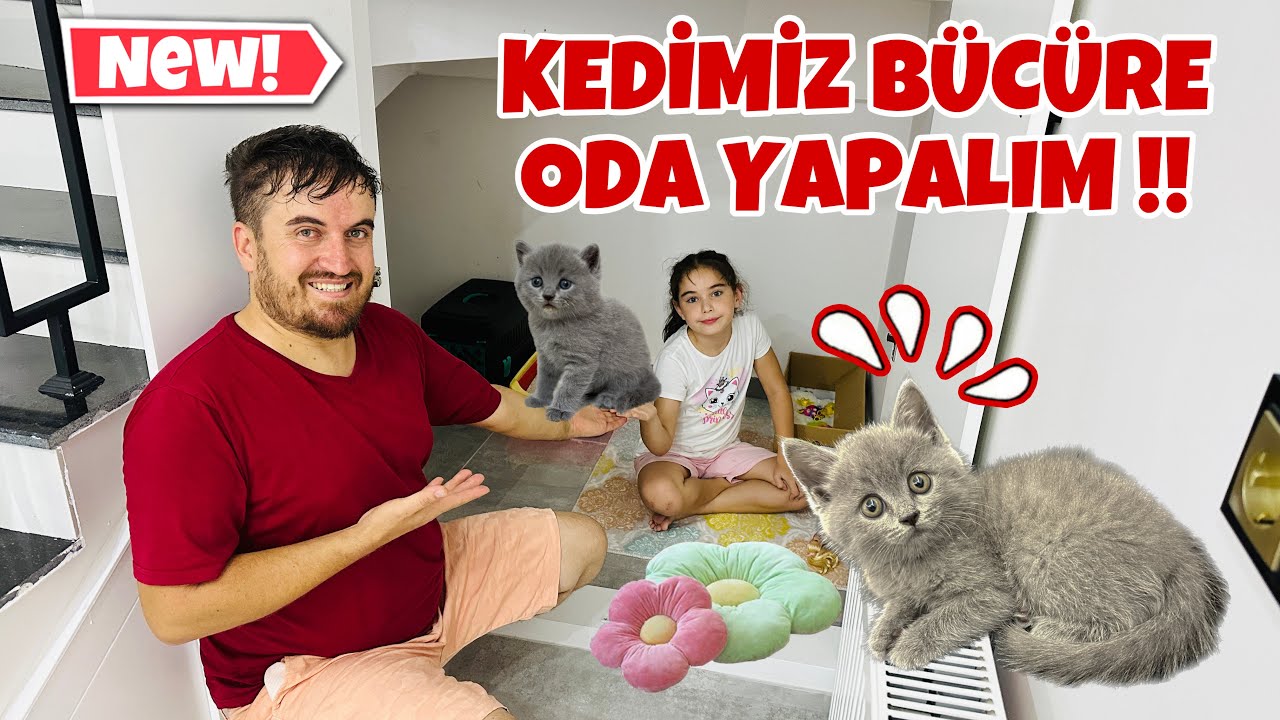 KEDİMİZ BÜCÜRE ODA YAPIYORUZ !! BÜCÜR ODASINI ÇOK SEVDİ !!