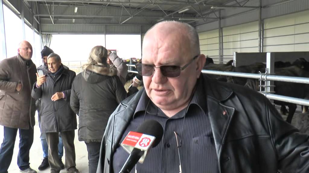 Megérkeztek az első bivalyok Mezőtúrra