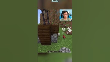 Minecraft Small Pillager Outpost はいよろこんで