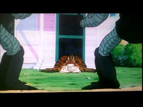 Turtle's Best TFS Quote