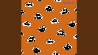 Nobody Likes Me (Single Edit) - Bottler