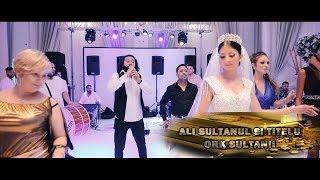 ALI SULTANUL SI TITELU -  FITZA FEMEILOR  ( 2019 ) Resimi