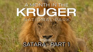 A MONTH in the KRUGER - SATARA - Part 1 (Episode 4)