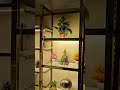 #interiorstyling #lifeisbutadream #home #ihavethisthingwithplants #kitchen