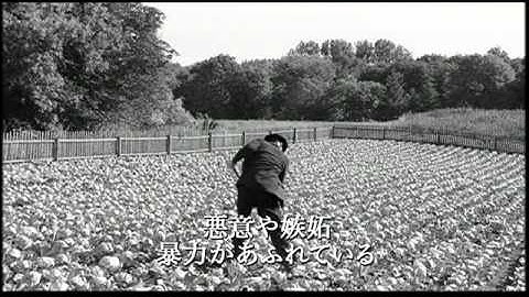 「白いリボン」予告