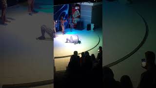 sekret remix ermenia naz dej elsen pro tiktok share ke?fet youtube short viral share #shorts #ke?fet
