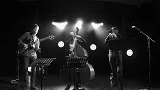 Jitterburg Waltz (Fats Waller) - Broken Wing Trio
