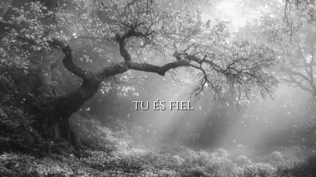 FLUIDO DO CÉU #deus #louvorea #music #gratidão #viral 