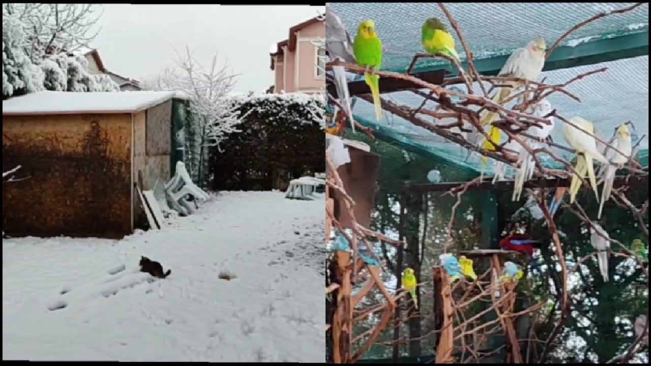 2024 Yılının İlk Kar Yağışı...