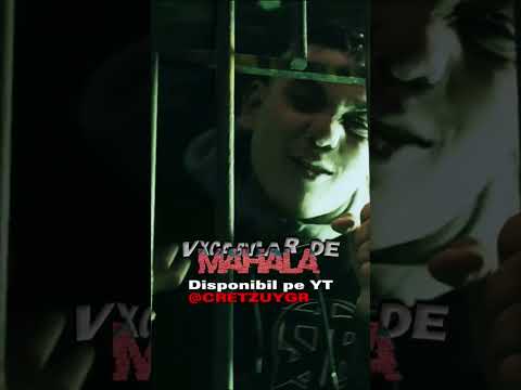 Promo - Vocabular