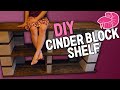 Cinder Block Aquarium Shelf Timelapse - Can I Make it Look Nice? Cinder Block Aquarium Shelf Timelapse - Can I Make it Look Nice?