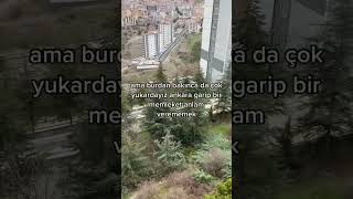 Kaçıncı Kattasın Yani