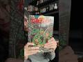 We picked up vol 1 of TMNT #comics