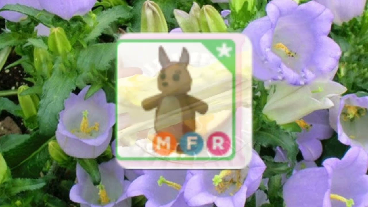 ! make neons fast in adopt me !  | subliminal