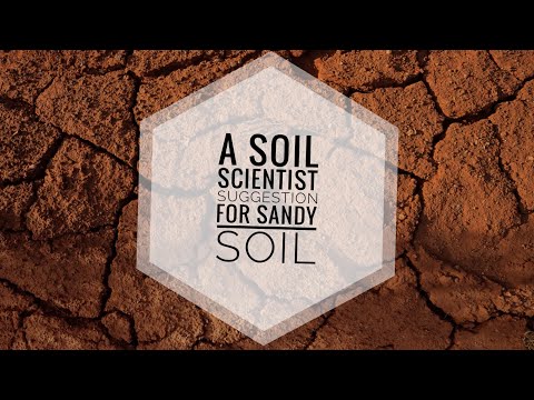 וִידֵאוֹ: תיקון אדמת חול: מהי אדמת חול וכיצד לשפר את האדמה החולית