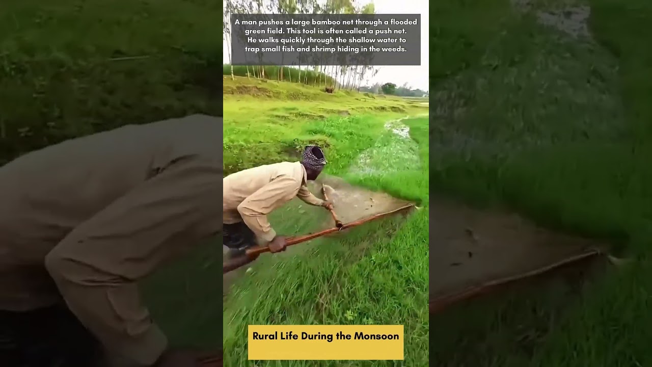 Rural Life During the Monsoon