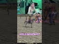 Metin2 Comeback mit Caracroft - Keine Botter auf Tigerghost!