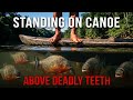 Hunted the Amazon's Most Dangerous Predator with a Bow