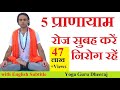  5        yoga pranayama breathing  yoga guru dheeraj bihar