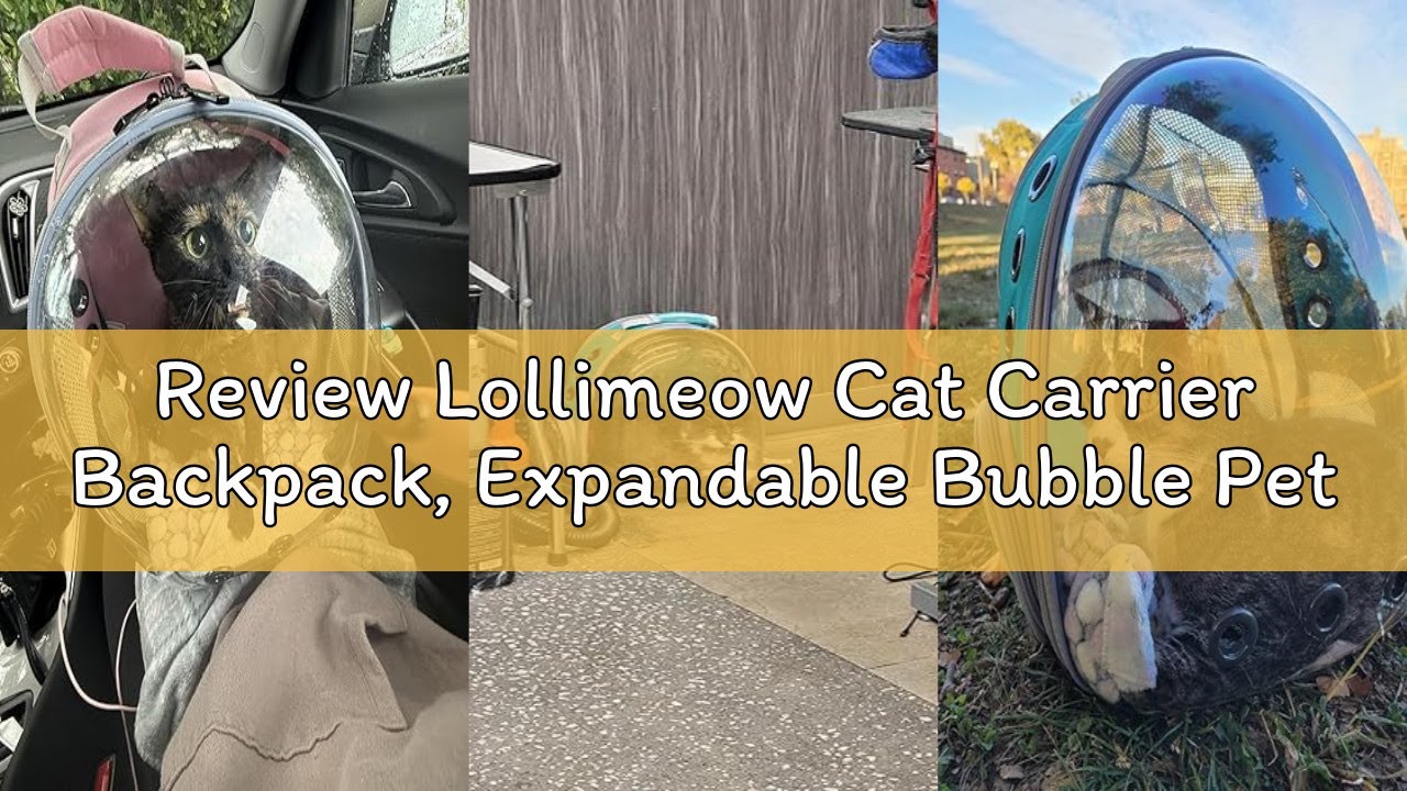Review Lollimeow Cat Carrier Backpack, Expandable Bubble Pet Carrier for Cats and Small Dogs, Airlin