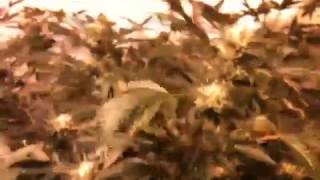 OMMP 2014 Indoor update 3/22