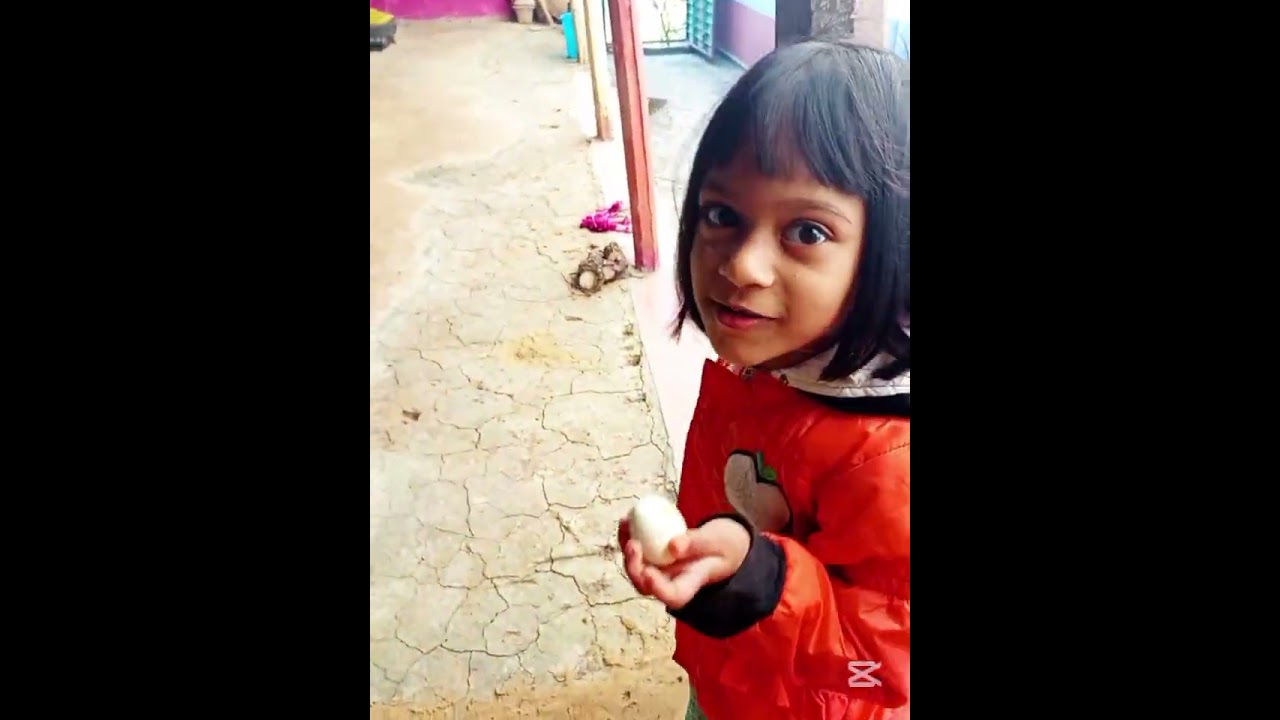 বাবার বাড়ি গিয়ে অনেক মজা করে ঘুরলাম ফিরলাম পিঠা পায়েস খেলাম