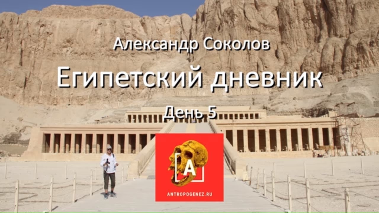 ⁣Храм Хатшепсут и отель Нефертити. Египетский дневник-5