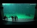 NORDSOEN-OCEANARIUM Hirtshals/Daenemark