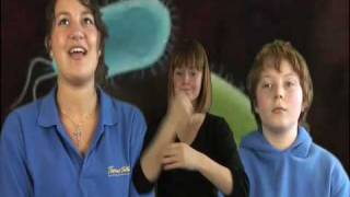 Creativity - The Students' Perspective