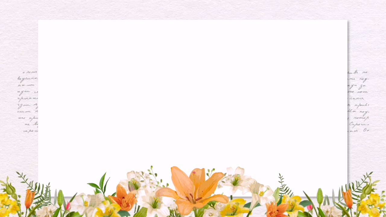 Flower Border in White Background Animated Overlay