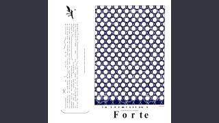 Drifter - Forte
