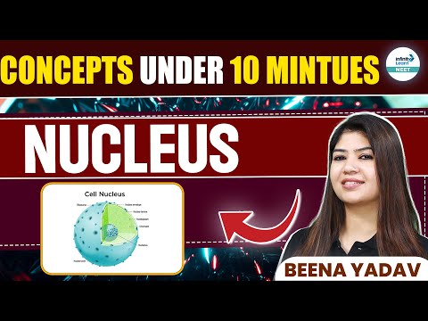 What is the Nucleus? | Cell Structure and Function | NEET 2025 | Class 11th Biology