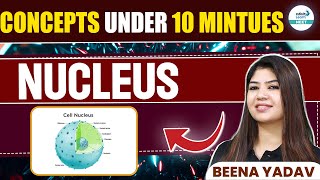 What is the Nucleus? | Cell Structure and Function | NEET 2025 | Class 11th Biology