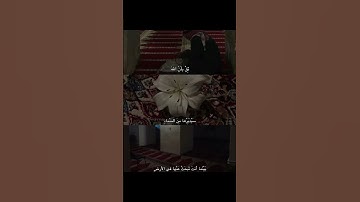 #سورة_آل_عمران #قرآن #محمد_صديق_المنشاوي #قران_بصوت_جميل #المنشاوي_الباكي #المنشاوي_الصوت_الباكى #1k