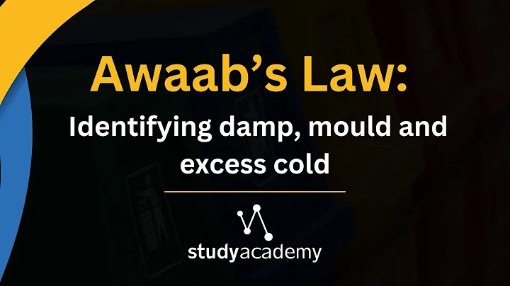 Awaab’s Law: How to identify damp, mould and excess cold