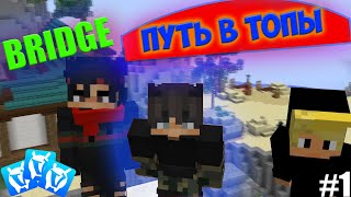 ПУТЬ в ТОП 500 BRIDGE - VIMEWORLD - MINECRAFT /#1