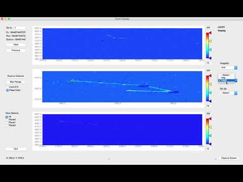 larcv 2d viewer