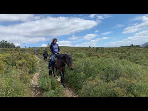 Horseback Riding in Alcaria, Portugal