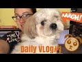 Daily Vlog | Quaratine Life | My Dog Needs To Get Groomed | May 4 2020