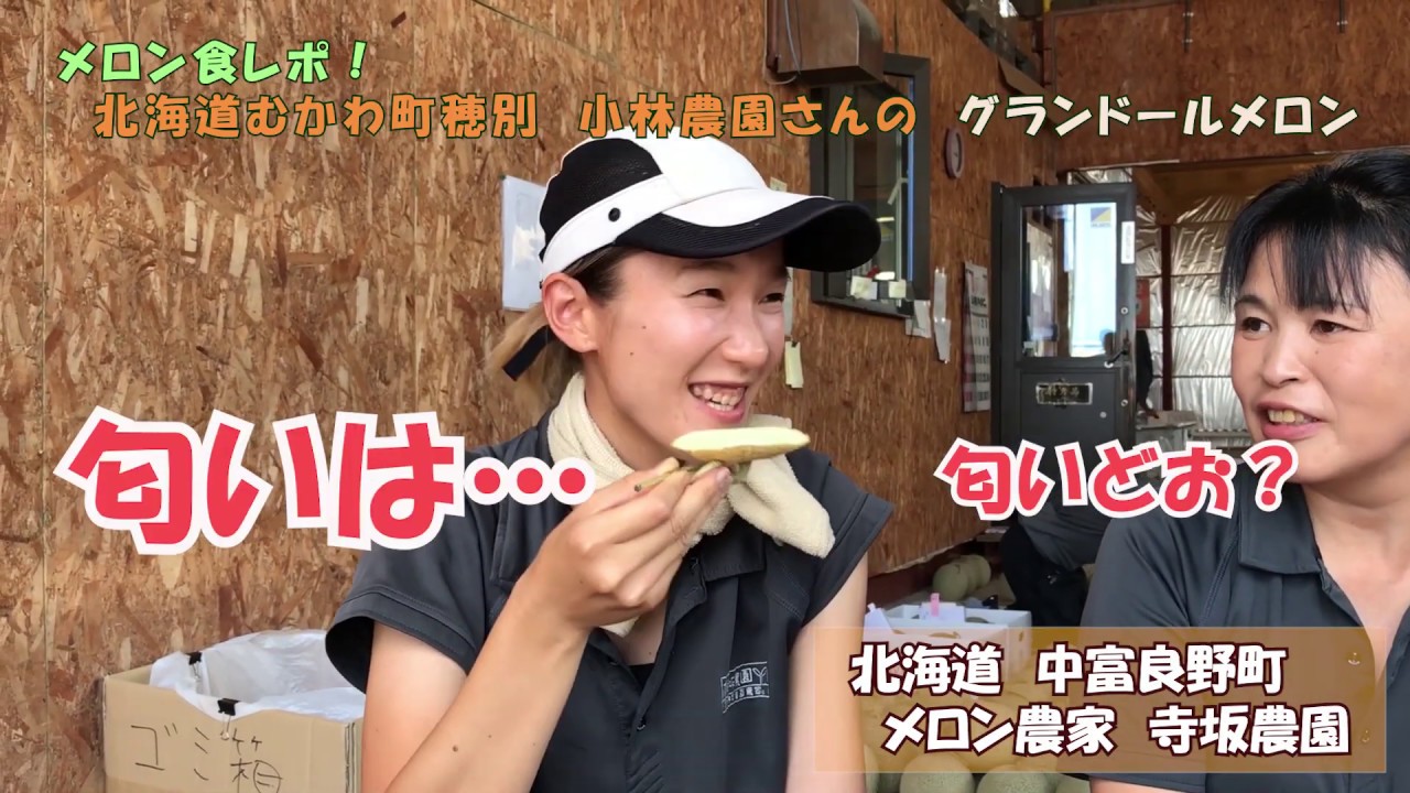 グランドールメロン 評価 評判高いっ 白肉メロン 北海道 富良野 感動野菜産直農家 寺坂農園ブログ